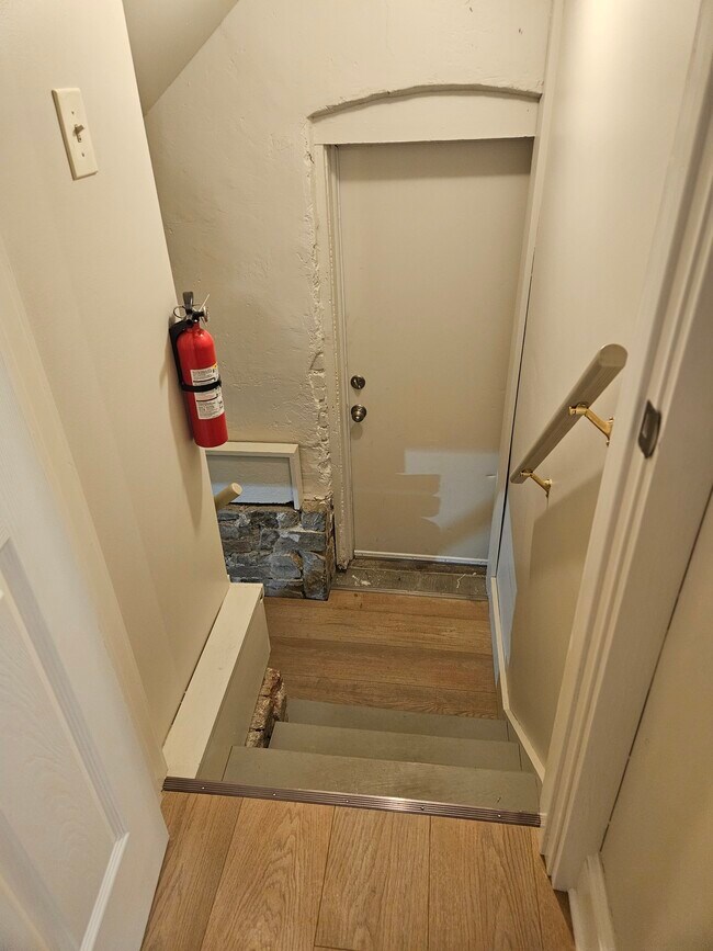 basement & rear access - 223 E 10th St