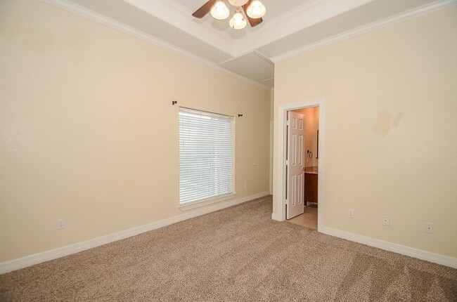 Building Photo - 513 Vincent St