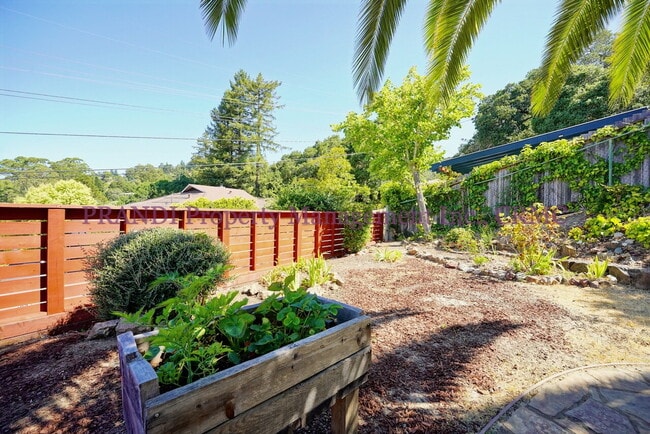 Building Photo - Central San Rafael Home with Awesome Mt. T...