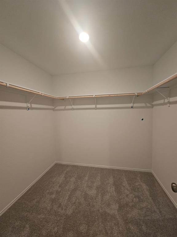 Building Photo - 2329 Silvercloud Dr