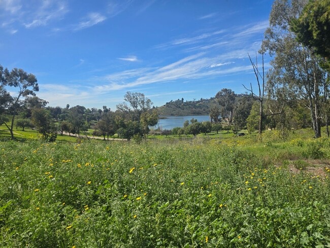 Building Photo - 1 Bed 1 Bath Close to Lake Murray