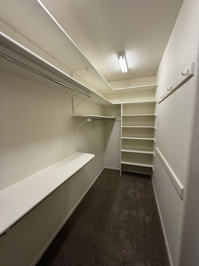 Building Photo - Beautiful 3 Bedroom/2.5 Bathroom Home Located off Roadrunner