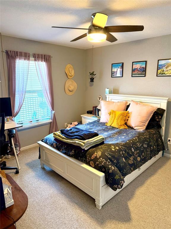 Building Photo - 3204 Menchaca Rd