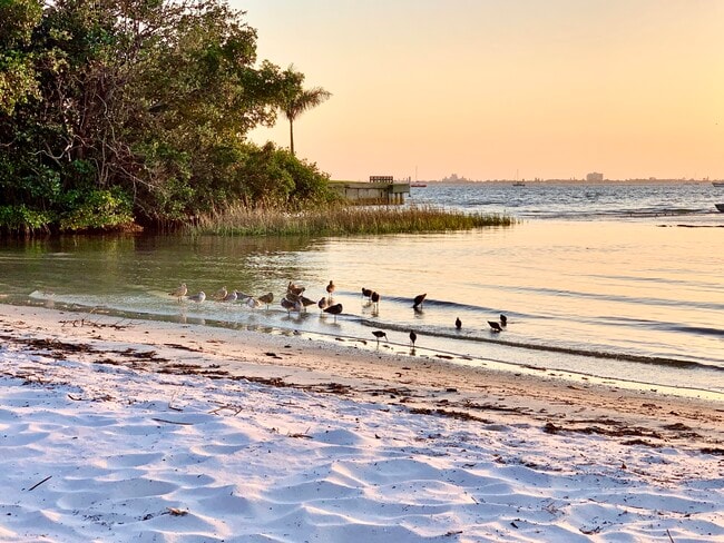 Building Photo - 4225 38th Ave S