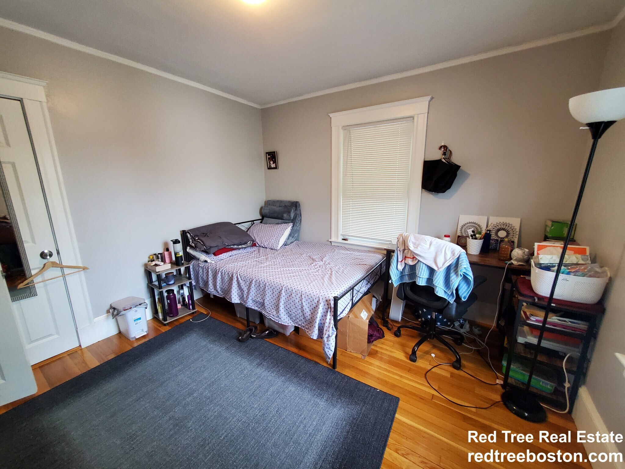 Building Photo - 7 Elmira St