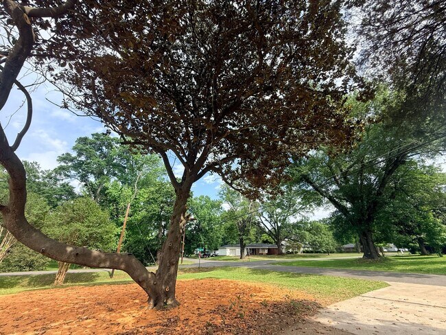 Building Photo - Newly Renovated Property - Family Home