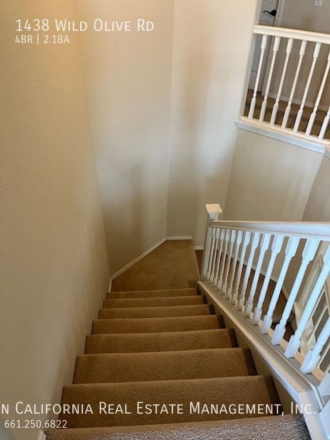 Building Photo - 1438 Wild Olive Rd