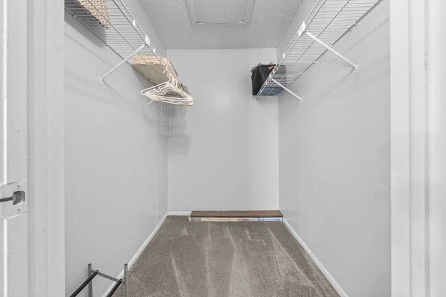 Building Photo - Chic & Cozy 2-Bed, 2-Bath Condo Retreat in Heart of Tampa