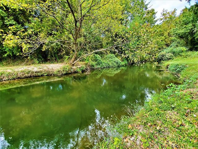 Building Photo - 4017 Chinaberry Dr