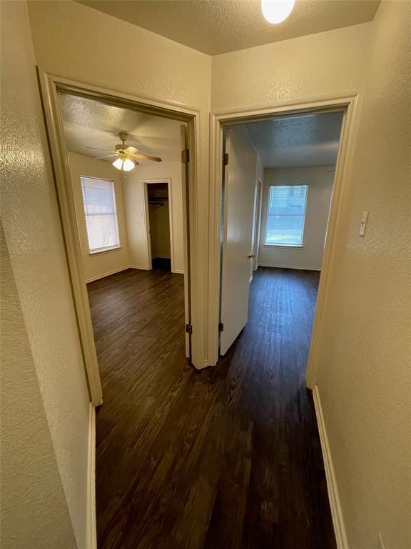 Building Photo - 1239 Armadillo Rd