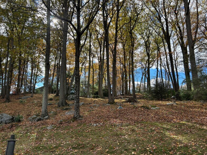 Rear yard - 15 Old Village Ln