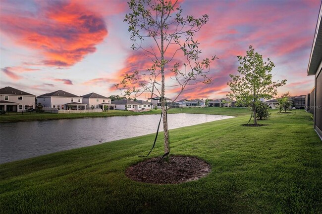 Building Photo - 30950 Parrot Reef Ct