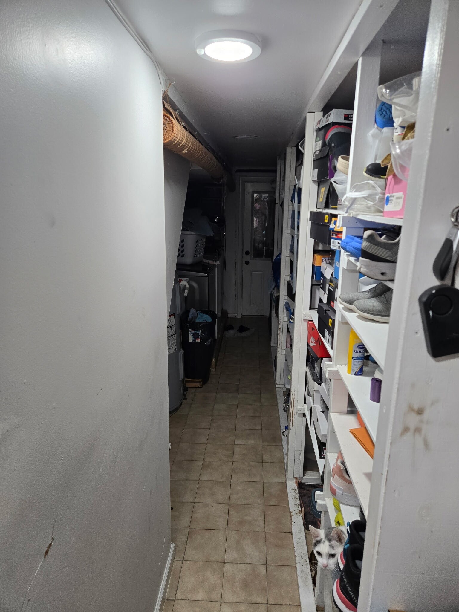 laundry /boilers area - 38 6th St