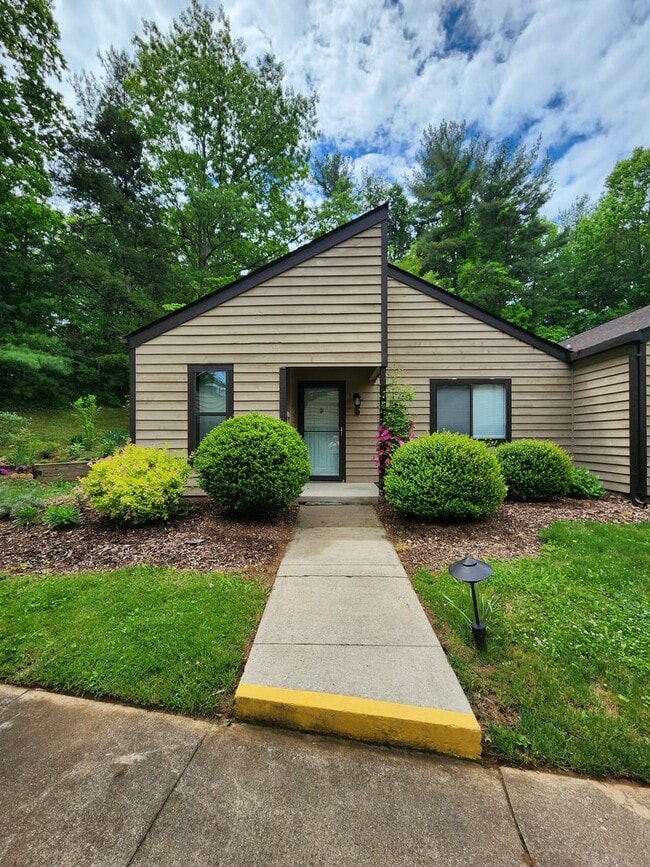 Primary Photo - Black Mountain Rental!