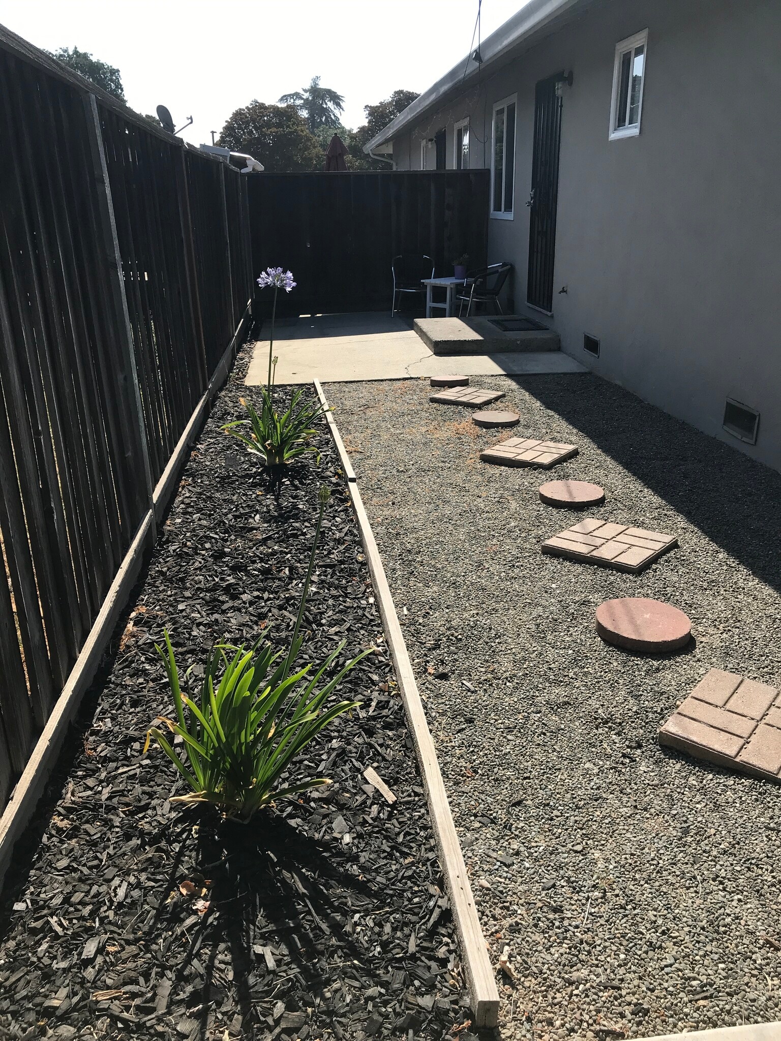 Sideyard - 921 Sherman Oaks Dr