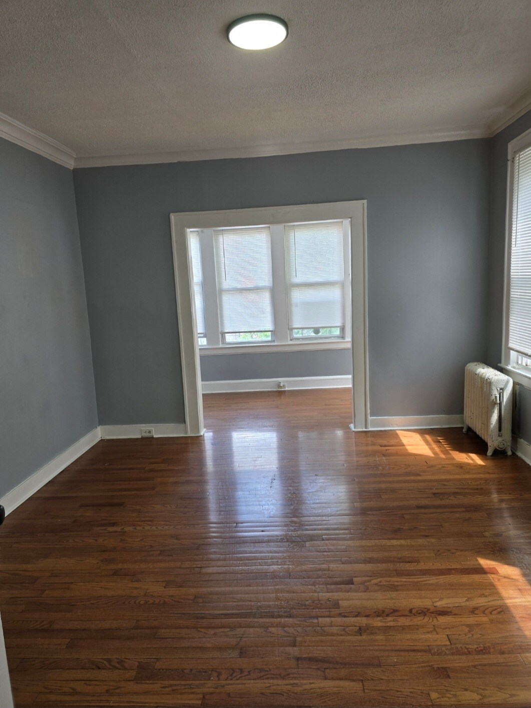 Living room - 85 Chelsea Ave