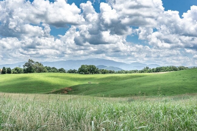 Building Photo - 3655 W Allens Bridge Rd