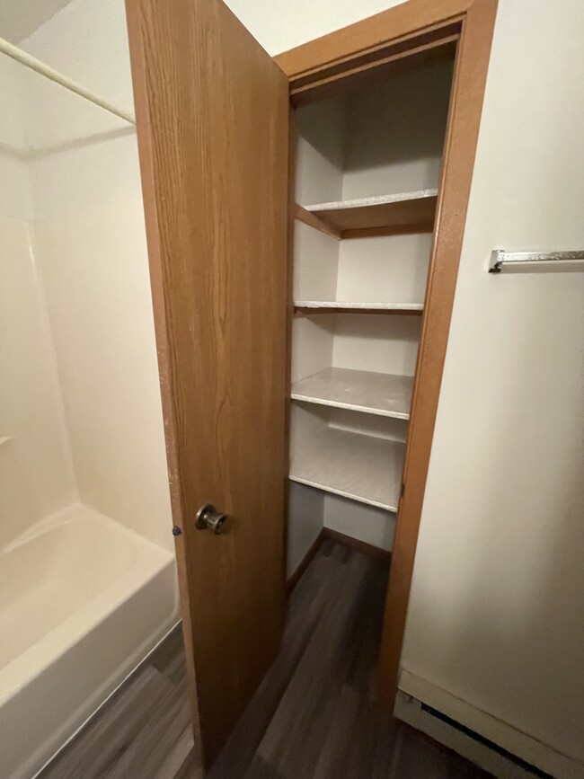 storage in bathroom - 336 Manchester Ln