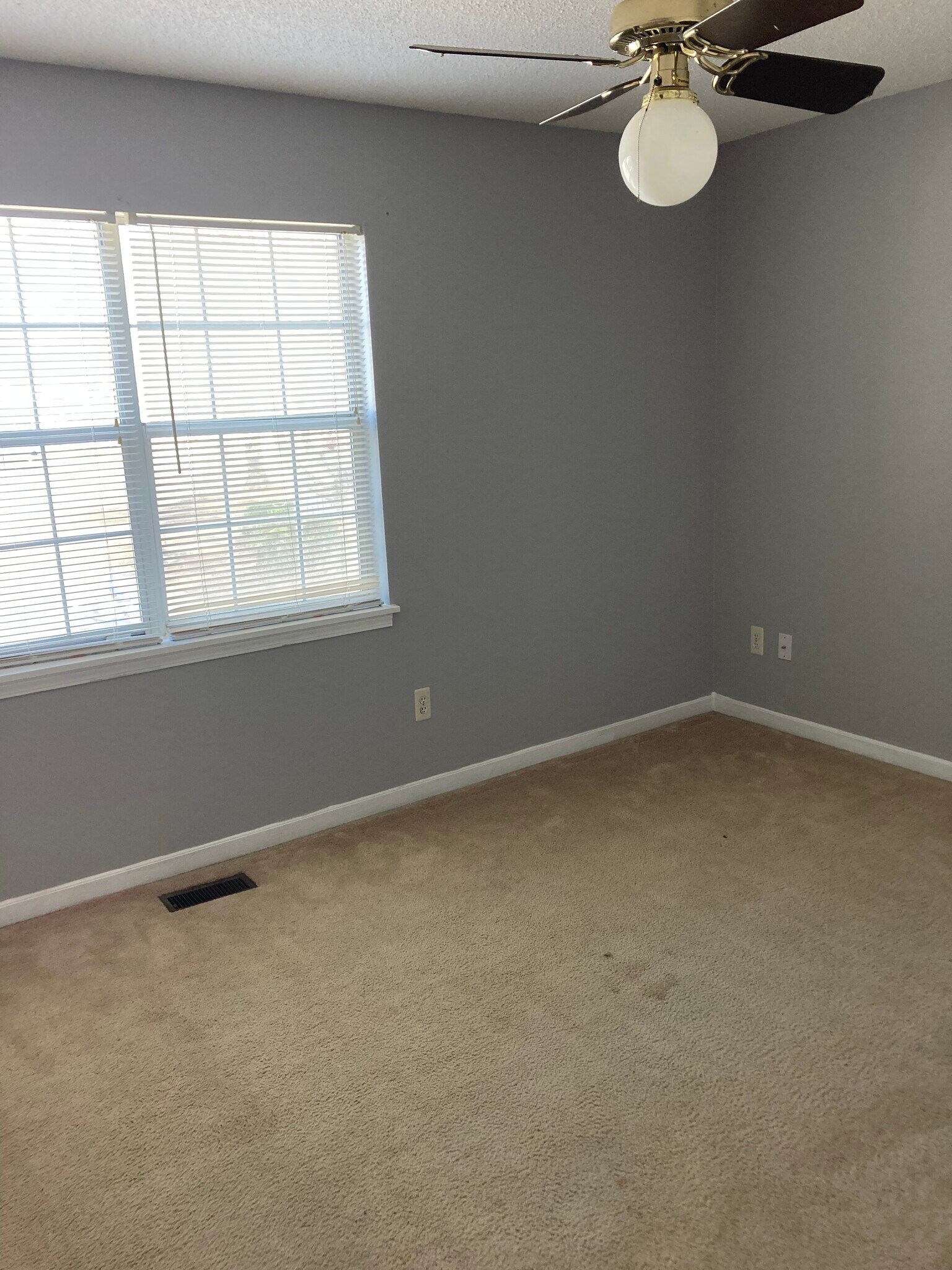 Large bedrooms and closets - 141 Country Village Ct