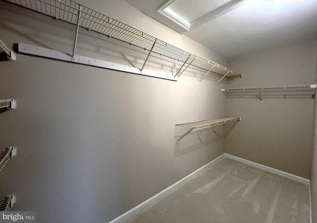 Building Photo - 2035 Madrillon Springs Ct