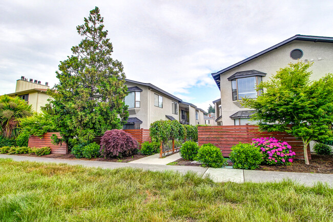 Building Photo - Alki 12 Apartments