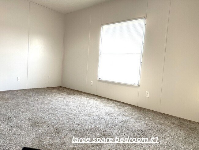 Building Photo - 3337 Clear Springs Way