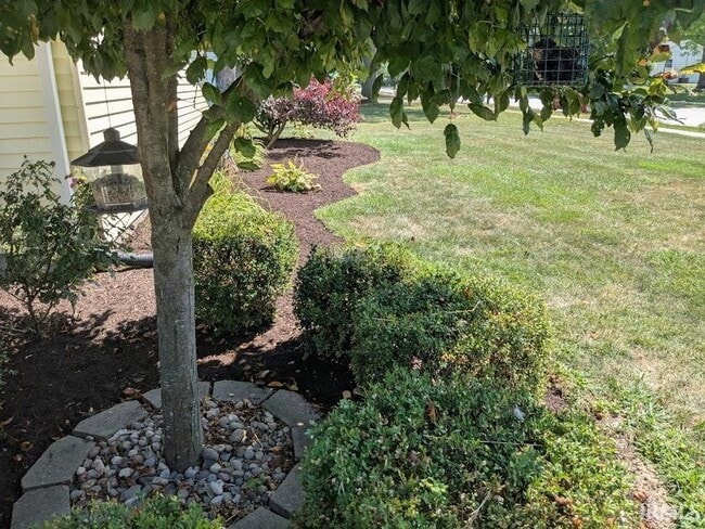 Building Photo - 2907 Greenbriar Dr
