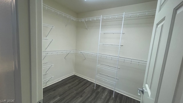 Building Photo - 5942 Atlantis Dream Ave