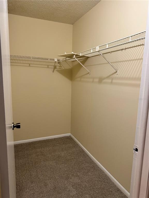 Building Photo - 14319 Hanging Moss Cir