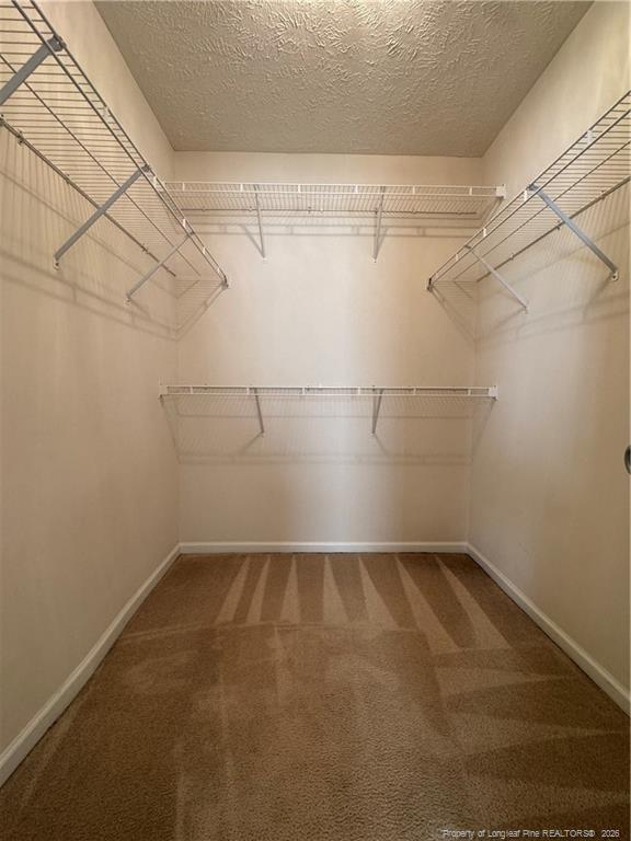 Building Photo - 245 Wood Valley Ln