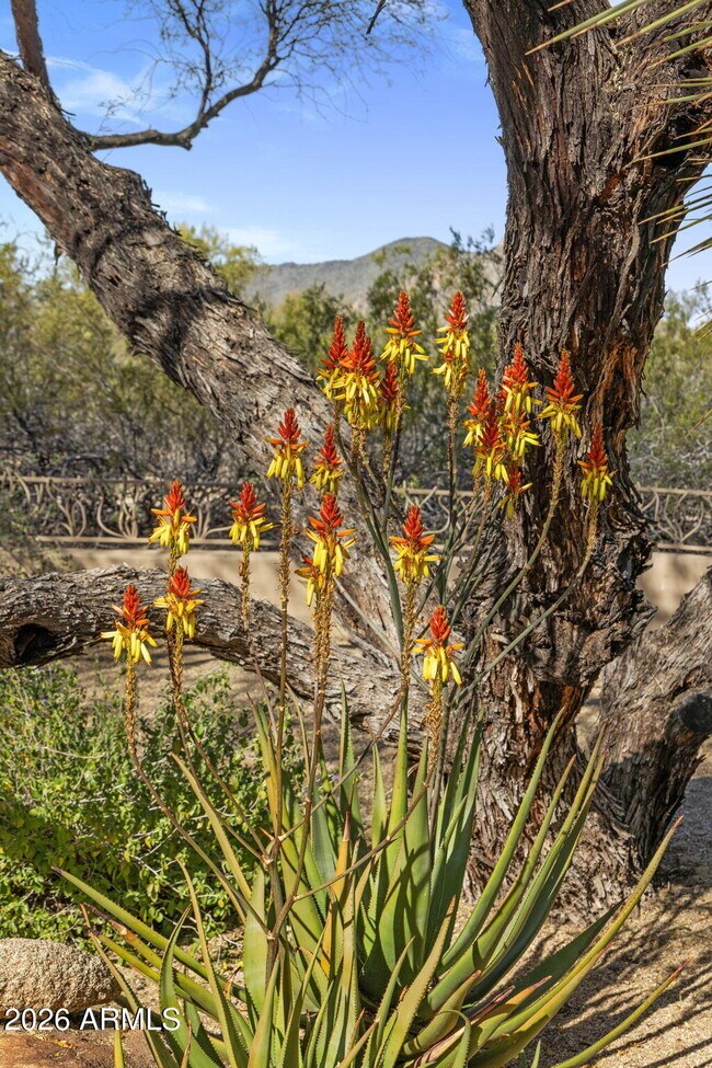 Building Photo - 34068 N 79th Way