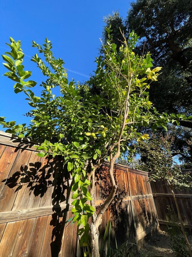 Building Photo - 3 bedroom 2 bath, Mission Ranch Neighborhood, Turnkey ready to move in.