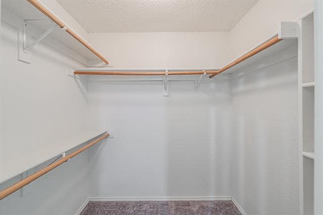 Building Photo - 6501 Riverwater Trail