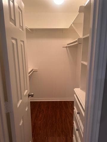 Building Photo - 2424 Stone Creek Dr