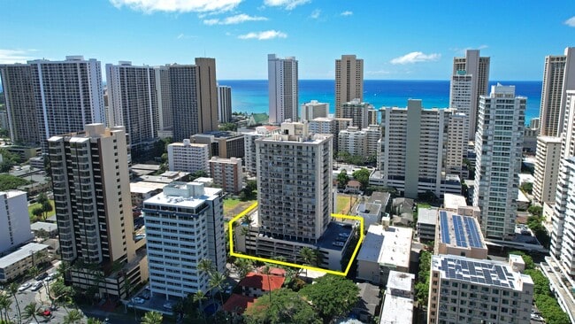 Building Photo - 2452 Tusitala St