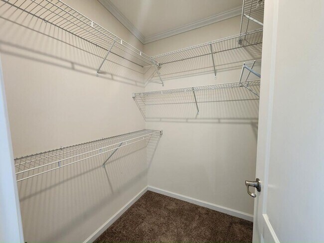 Building Photo - 215 Caviller Ct