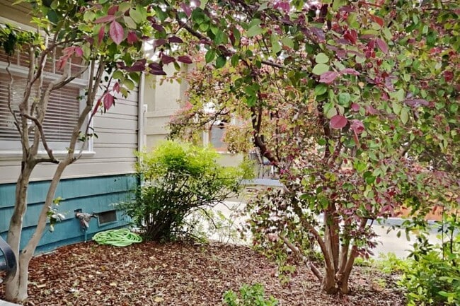 Building Photo - Charming Lank Park Bungalow