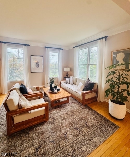 Building Photo - 2 Bedford Dr