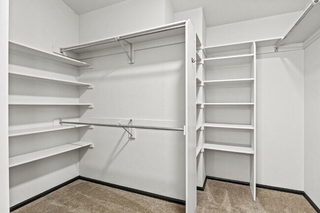 Building Photo - Huge Open-Concept Home in the Vibrant Briargate Neighborhood!