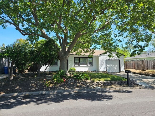 Building Photo - 3 bedroom, 2 bath Concord Home