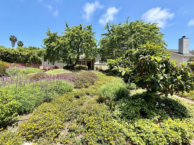 Building Photo - Unfurnished 4 bedroom/2 bathroom home with...