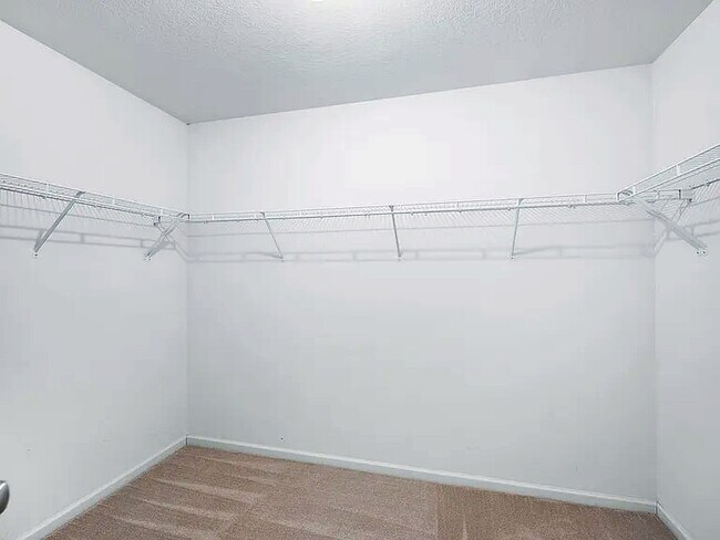 Building Photo - 211 Night Heron Dr