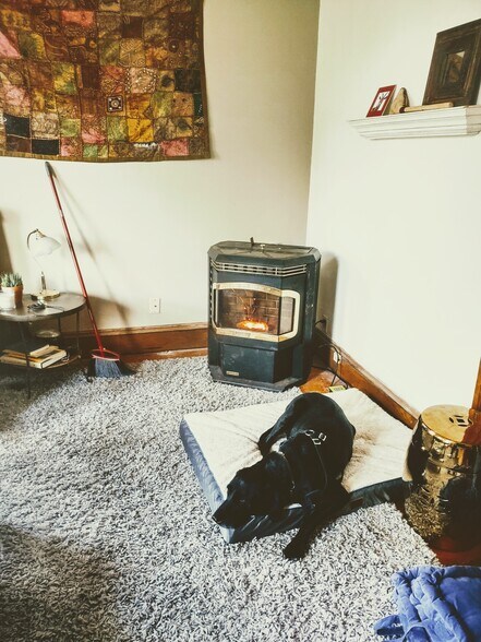 Jackson(who is not with us anymore & the pellet stove in the living room - 281 Collins St