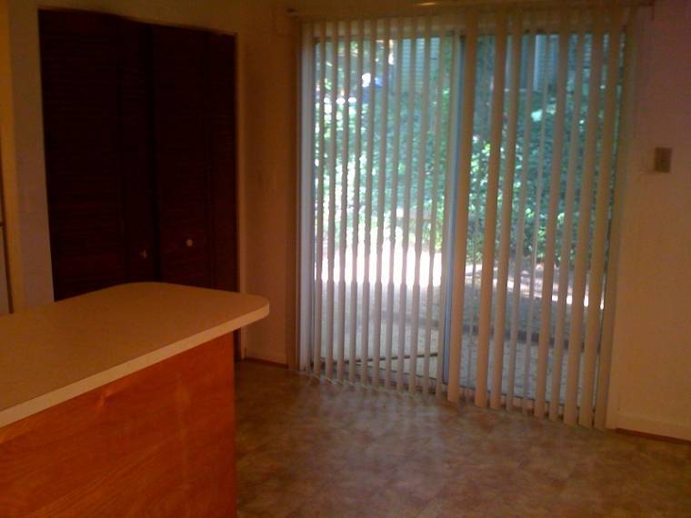 Kitchen looking out the patio - 419 Woodhaven Ct
