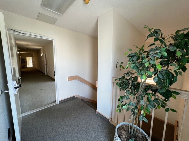 Building Photo - Beech St. Apartment