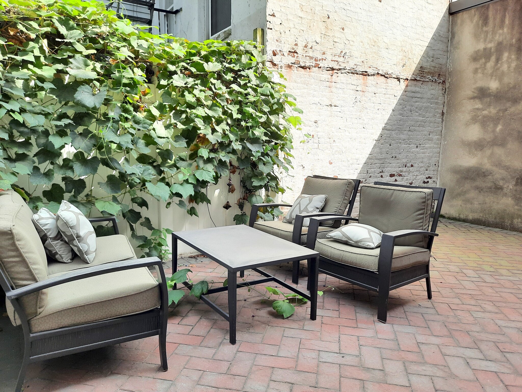 Common yard - 603 Bloomfield St