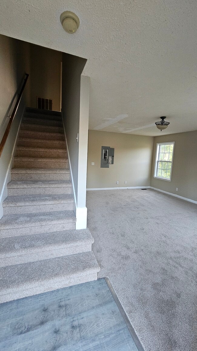 Building Photo - 138 Fox Creek Ct