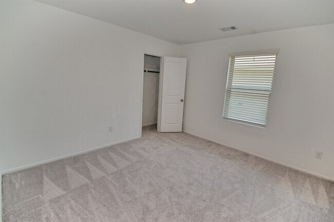 Building Photo - 4207 Palmetto Grv Ln