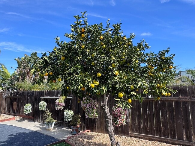 Building Photo - 13341 Aldrin Ave