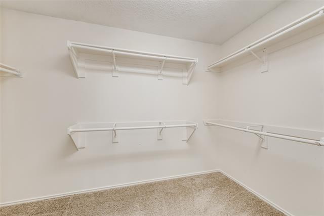 Building Photo - 803 Livingston Dr